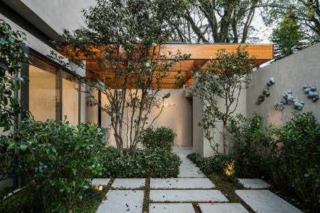 Perkins + Will Architecture House around the Tree São Paulo Brasil
