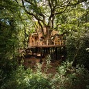 Brownlie Ernst and Marks Woodsman's Treehouse
