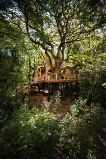 Brownlie Ernst and Marks Woodsman's Treehouse
