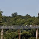 Un recorrido elevado entre los árboles, Glenn Howells Architects, Stihl Treetop Walkway