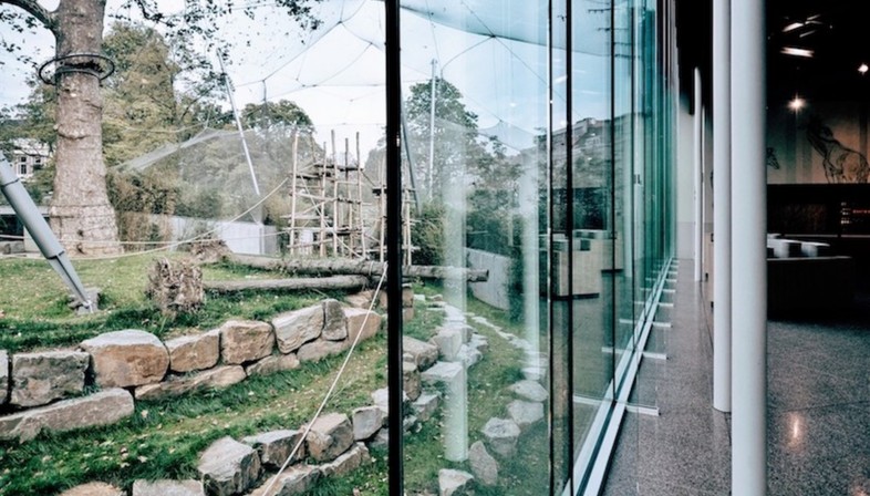 Studio Farris Architects Nuevos espacios para el zoo de Amberes
