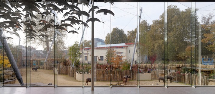Studio Farris Architects Nuevos espacios para el zoo de Amberes
