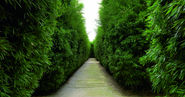 Labirinto della Masone conversaciones sobre la vegetación, el paisaje... y sobre la arquitectura

