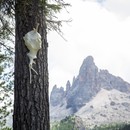 Arte y paisaje en Italia, desde los Dolomitas hasta el Parque Nacional de los Abruzos, Lacio y Molise
