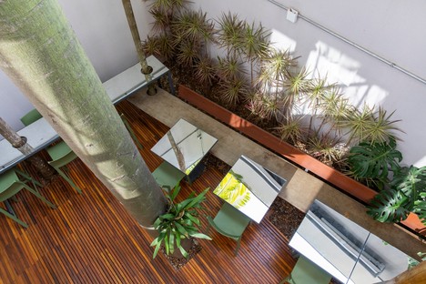 Superlimão nueva sede de Populos en São Paulo con una “casa en el árbol”
