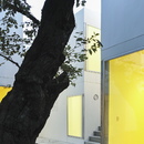 Chiba Manabu: Sugar housing en una galería de arte en Tokio
