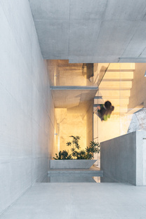 Akihisa Hirata: Tree-ness house, casa y galería de arte en Tokio

