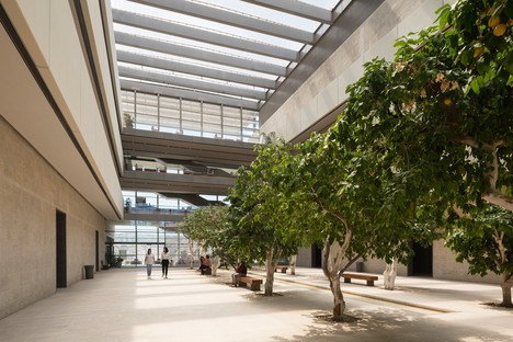 Foster + Partners: Safra Center for Brain Sciences, Jerusalén
