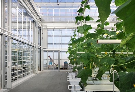 van Bergen Kolpa + META: Agrotopia, centro de investigación para la horticultura urbana
