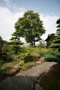Ogawa: naturaleza y arquitectura en la casa con árboles en Kagawa

