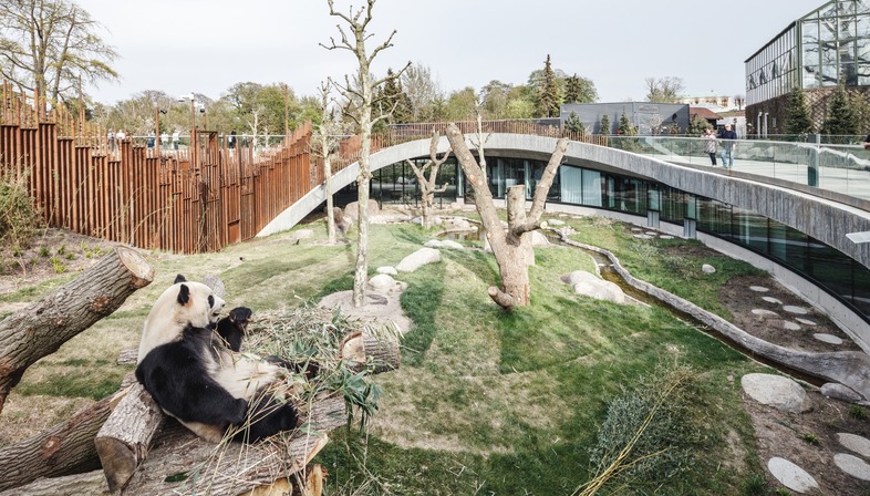 Encofrado de bambú para la Panda House Yin Yang, por BIG
